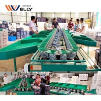 Kiwi fruit sorteren machine/mango sorteermachine/sorteren machine voor fruit en groente
