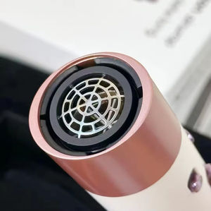 <span class=keywords><strong>Fer</strong></span> à boucler multifonctionnel de qualité supérieure DY avec tous les accessoires Wraps HS05 HS08 HS09 - Product Image 4