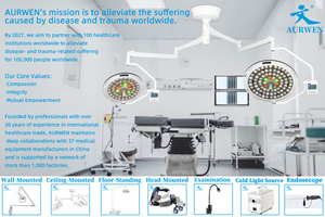 AURWEN Wall-Mounted Surgical Lighting <strong>Medical</strong> Wall-Hung Examination Wall Light Durable Metal Vet Dental Clinic Electric LED <strong>Lamp</strong> - Product Image 5