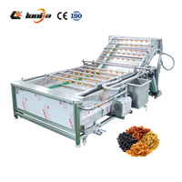 Ligne de traitement pour le lavage des feuilles de lotus, des châtaignes d'eau, des mûres séchées et du maïs sucré avec laveuse à tambour rotatif