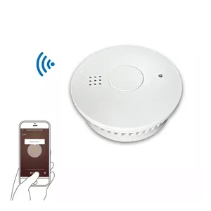 EN14604 Alarm Kebakaran Wifi Rumah Detektor Asap Terhubung Tuya 10 Tahun Detektor Asap Bertenaga Baterai