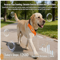Collier GPS intelligent pour animaux de compagnie avec surveillance des signes vitaux, traduction de données de santé, mémoire 4G, suivi mondial, modèle B31