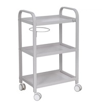 Chariot roulant moderne en acier inoxydable pour salon de coiffure et spa, étagère multifonctionnelle pour la maison, le bureau, la chambre et le salon
