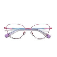 Doisyer 3020 Lunettes anti-lumière bleue en acier inoxydable à motif animal pour femmes