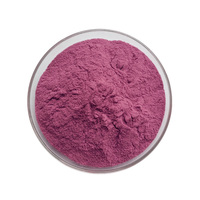 Poudre de jus de canneberge lyophilisée 100% naturelle et soluble dans l'eau