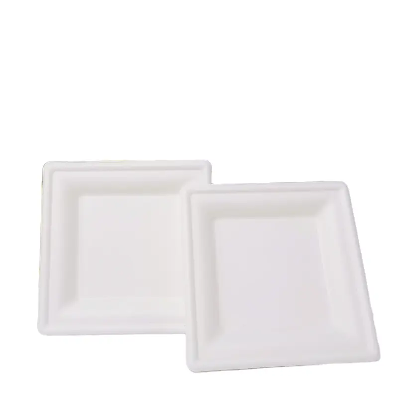 Gran oferta de platos blancos, plato desechable biodegradable cónico para llevar, plato de bagazo y pulpa de bambú, plato blanco