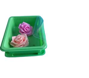 Bandeja <span class=keywords><strong>de</strong></span> germinación para crecimiento <span class=keywords><strong>de</strong></span> plantas <span class=keywords><strong>de</strong></span> jardín, bandeja <span class=keywords><strong>de</strong></span> siembra hidropónica - Product Image 3