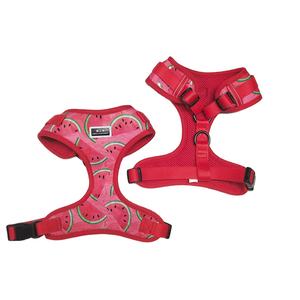 कारखाने OEM कस्टम लोगो पैटर्न समायोज्य नरम जाल गद्देदार प्रतिवर्ती पालतू कुत्ते दोहन लीड कॉलर सेट - Product Image 2