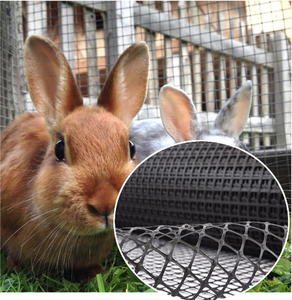 Cercado de malla de plástico de polietileno para protección de <span class=keywords><strong>aves</strong></span> gallinas - Product Image 4