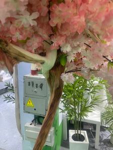 Grand Bonsaï Artificiel d'Extérieur <span class=keywords><strong>en</strong></span> Plastique Certifié UV Faux Fleur <span class=keywords><strong>de</strong></span> Cerisier Sakura Bonsaï pour les Occasions d'Anniversaire <span class=keywords><strong>en</strong></span> Vente - Product Image 5