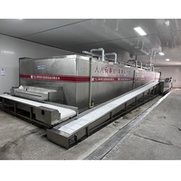 Hoogwaardig automatisch IQF-vriesysteem met een capaciteit van 500 kg/uur, blastvriezertunnel voor voedselverwerkingsfabrieken