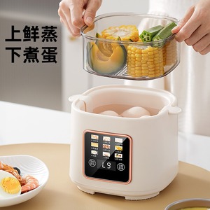 Multifunctional Baby Food Maker Double Layer 700W Electric Steamer Egg Cooker With Buzzer Timing Alarm Function - Product Image 1