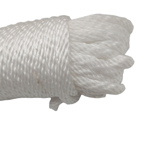 Corde de sport en polypropylène tressé <span class=keywords><strong>Yong</strong></span> Lin 8 mm, corde de parachute pour l'escalade, couleur personnalisée pour l'extérieur - Product Image 1