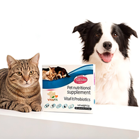 Probiotiques VitaFit pour chiens et chats, comprimés à absorption rapide et sûre pour la santé immunitaire et digestive, digestion sensible, 5g/pc