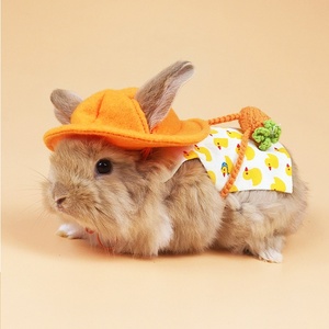 Set Pettorina, Guinzaglio, Vestiti e Cappello <span class=keywords><strong>per</strong></span> Coniglio, Porcellino d'India, Coniglio Nano, Piccoli Animali Domestici <span class=keywords><strong>per</strong></span> Passeggiate all'Aperto - Product Image 2