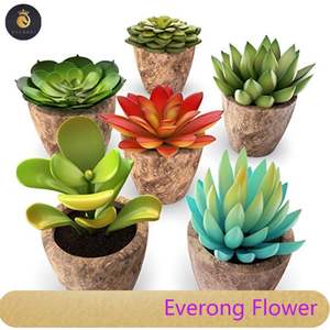 미니 인공 장식 홈 다육 식물 세트 분재 벌크 wiEV 라운드 냄비 - Product Image 3