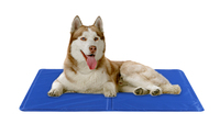 Tapis de refroidissement en gel, coussin de glace pour animaux de compagnie, coussin de glace d'été pour chats et chiens.