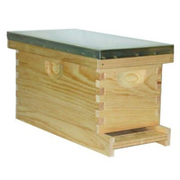 Boîte Nuc en bois à 5 cadres pour le transport de la reine des abeilles Pack plat Ruche Nuc en bois
