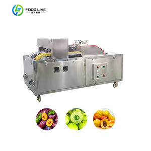 เครื่องปอกเปลือกลำไยไทยอัตโนมัติ เครื่องแยกเมล็ดและแกนลำไย - Product Image 5