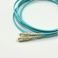 Customized Fiber Optic Patch Cord SC UPC Duplex OM3 Patch Cord 1M