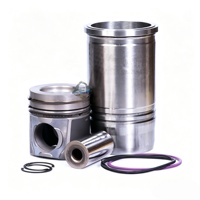 Kit de Reparación de Motor para TAD1170VE TAD1172VE, Kit de Juntas de Anillos de Pistón y Revestimiento de Cilindro para A25G A30G A30F A25F 22235061