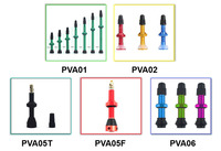 Toolon Nouveau pneu plein coloré personnalisable sans chambre à air avec valve Presta pour VTT en alliage de zinc pour gonflage et dégonflage