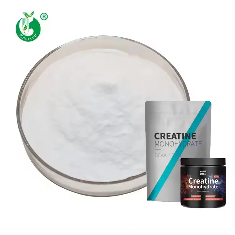 Free Sample OEM Private Label 200 Mesh Creatine Monohydrate Powder for Energy Supplements