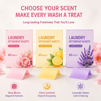 Feuilles de lessive jetables écologiques multi-parfums personnalisables avec options de parfum hypoallergénique et faible mousse OEM