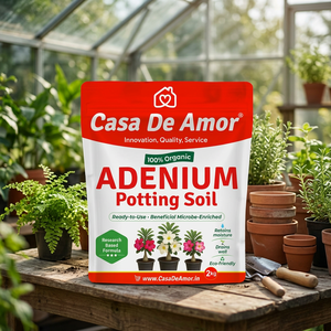 Casa De Amor Adenium Organic Reusable Grow <b>Bag</b> Ready to Use Beneficial Microbe Enriched for Home <b>Garden</b> - Product Image 2