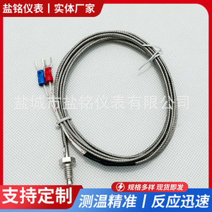 Salt Inscription E Type Thermocouple 0-400 Celsius Wire Leads Temperature Sensor - Product Image 5