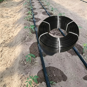 Tuyau d'irrigation goutte à goutte en PE de 16 mm avec <span class=keywords><strong>goutteur</strong></span> cylindrique intégré, anti-colmatage, à compensation de pression, <span class=keywords><strong>pour</strong></span> serres et vergers - Product Image 1