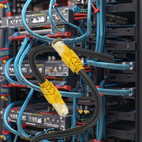 Kabel Patch UTP Cat8 Berkualitas Tinggi Langsung dari Pabrik, Dukungan OEM, Tembaga 8-Konduktor, Kabel Ethernet Kuning Hitam HDPE