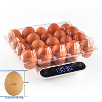 Vente en gros bon marché emballage d'oeufs jetables en PET 20 trous plateau d'oeufs transparent en plastique