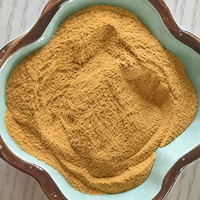 Poudre d'extrait de fenouil naturel de qualité alimentaire en gros pour la matière première des aliments et boissons fonctionnels