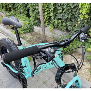 Bicicleta <span class=keywords><strong>de</strong></span> Montaña <span class=keywords><strong>de</strong></span> <span class=keywords><strong>Segunda</strong></span> <span class=keywords><strong>Mano</strong></span> <span class=keywords><strong>de</strong></span> 16 Pulgadas con Horquilla Rockshox <span class=keywords><strong>de</strong></span> 4 Pulgadas, Bicicleta Gruesa con Llantas Gruesas, Bicicletas Plegables con Llantas <span class=keywords><strong>de</strong></span> Tres Radios - Product Image 3