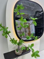 Cermin Dinding Besar dengan Lampu LED untuk Dekorasi Pintu Masuk, Cermin Hias, Vas Gantung Dinding Tanaman Hijau, Seni Dinding untuk Kamar Mandi