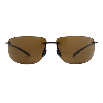 Cat Eye Spring Hinge Computer Photochromic