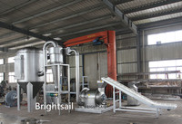 BSDF industriel piment épices lentilles ail pois poivre rouge poudre usine de traitement épices piment gingembre rectifieuse