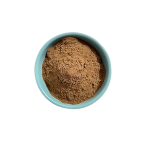 Extrait de champignon naturel de qualité supérieure Cordyceps Militaris en poudre, haute pureté, fournisseur en gros pour les produits à base de plantes et de bien-être - Product Image 4