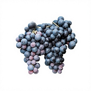 Set Regalo di Semi di Frutta Fresca per le Feste, 4 Tipi, Uno Selezionato Casualmente. per Regali dell'Indipendenza - Product Image 1