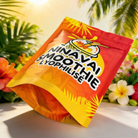 Sachet Mylar personnalisé entièrement imprimé, résistant à l'humidité, avec fermeture éclair, pour chocolats, snacks et chips