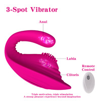 Spezieller USB-Aufladbarer Kleiner Dinosaurier-Saugvibrator mit Heizfunktion in Roter Box