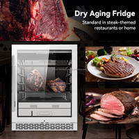 Réfrigérateur de maturation de viande OEM ODM, 110L, en acier inoxydable, pour salami, certifié CE DOE, avec écran LED, vente directe usine