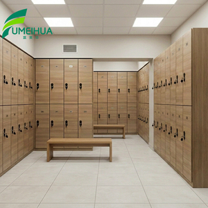 FMH Flat Pack HPL Fenólico Compacto Laminado Locker Gimnasio Madera Locker - Product Image 1