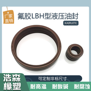 Joint hydraulique en fluororubber LBH, bague anti-poussière, 11,2-230 mm, résistant aux hautes températures, joint de cylindre - Product Image 5