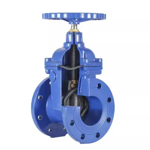 OEM/ODM API/DIN/GOST High Pressure Wcb 304 Double Parallel Disc Flat Plate Gas Pipeline Weld Gate Valve for Power Plant