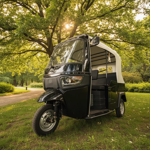 Tuk Tuk longue portée, modèle indien, tricycle pour passagers, mobilité, trike, pousse-pousse à vendre - Product Image 2