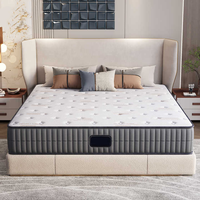 Échantillon gratuit d'usine OEM/ODM Matelas en mousse à double taille King Queen Dream Sleep Matelas orthopédique à ressorts ensachés
