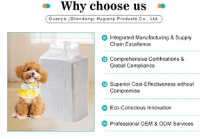 OEM ODM Haustierunterlage Einweg Geruchskontrolle Superabsorbierend Aktivkohle Pinkelpads für Hunde - Product Image 4