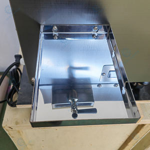 Machine à jus de canne à sucre commerciale de petite taille, directement de l'usine, avec certification CE pour la vente en gros mondiale - Product Image 2